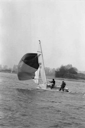 Internationale Segelregatta des Ruderclubs Rastatt auf dem Goldkanal bei Illingen an Ostern 1971