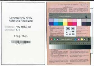 Entnazifizierung Theo Frieg , geb. 10.10.1902 (Kaufmaennischer Angestellter)