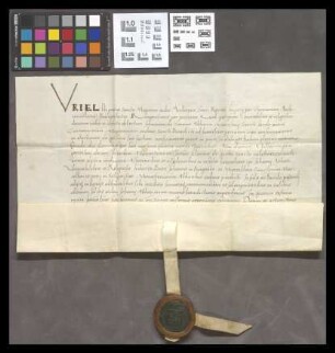 Mainz (St. Jakobsberg): Liber Documentorum Monast. St. Jacobi consignatur ab Abbate Joanne Manger de Gerau