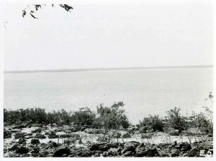 Der Orinoco bei Mapire