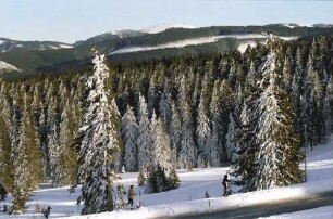 Schauinsland: Hintergrund Feldberg