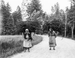Neudek, Holzsammlerinnen