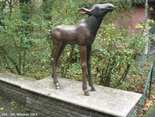 Elchkälbchen; Berlin, Lichtenberg