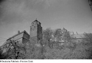 Blick auf den Burgberg mit Amtshaus und Burgtürmen