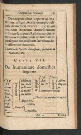 Caput VII. De humanitate domesticae in genere.