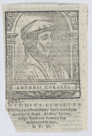 Bildnis des Antonius Corsetus