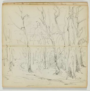 Waldstudie
