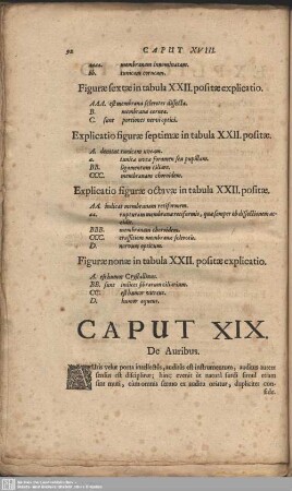 Caput XIX. De Auribus