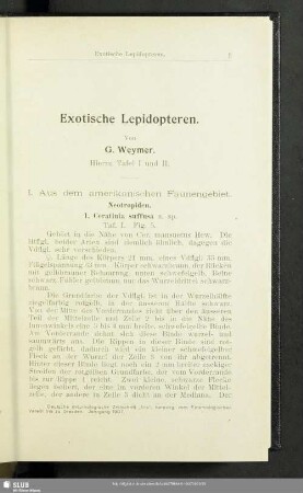 Exotische Lepidopteren