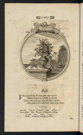 138-150, Rosa; Mel