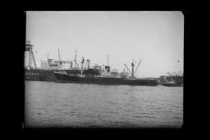 Gerda Schnell (1956), Vith.- H. P. Vith & Co. KG, Flensburg