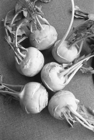 Kohlrabi in der Reihe "Tips der Verbraucherberatung"