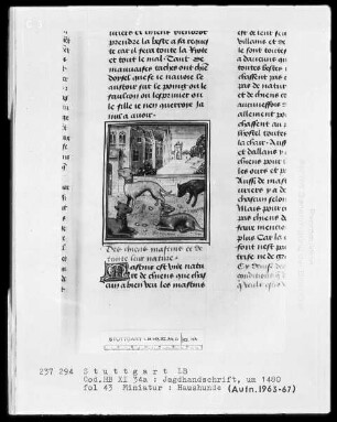 Gaston Phoebus und Kaiser Friedrich II. — ---, Folio 3recto-97verso---, Folio ---Haushunde, Folio 43recto