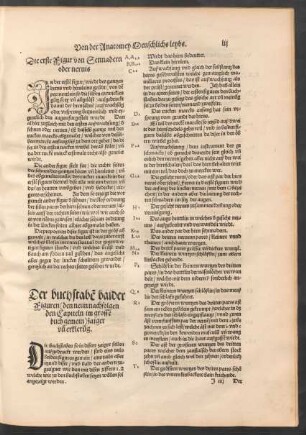 Die erste Figur von Sennadern oder nervis