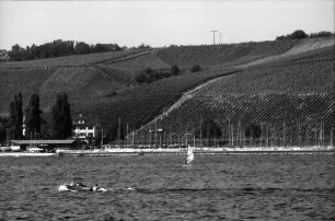 Meersburg: Weinberge am Bodensee (vom See aus)