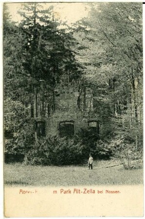 Alt-Zella. Abtei und Ruine