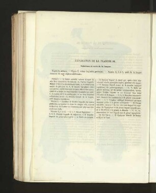 Pl. 91.