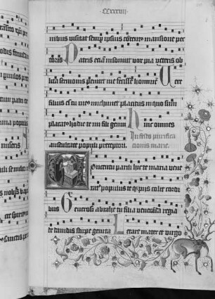 Graduale (Benediktinerhandschrift) — Textseite mit historisierter Initiale und einem Hirsch in der Bordüre, Folio 240recto