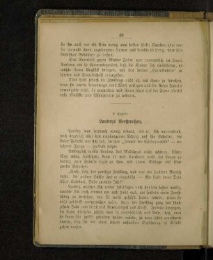 8. Kapitel. Landrys Versprechen.