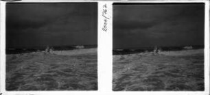 Auf Sylt