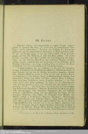 VII. Kelten