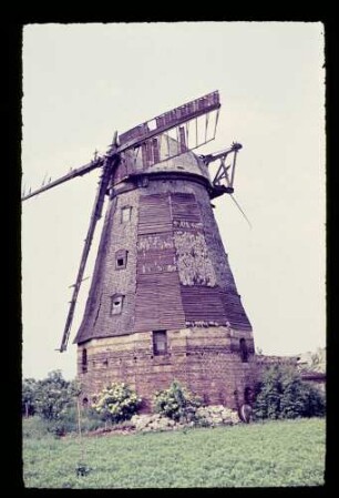 Mühle bei Buckow 17.6.54.