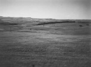 Savanne : Savannenlandschaft im Hochland Südafrikas