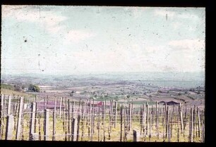 Blick auf Bahlingen am Kaiserstuhl