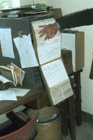 Fotografie: Milchviehhaltung, Monitoring, Herdenführung