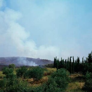Nikopolis (Epirus). Macchiabrand bei Nikopolis am Ambrakischen Golf