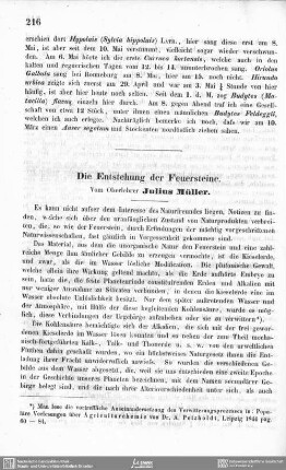 Die Entstehung der Feuersteine.