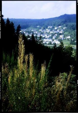 Daun: Blick ins Liesbachtal, von oben