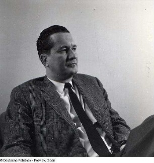 Portraitserie William Styron