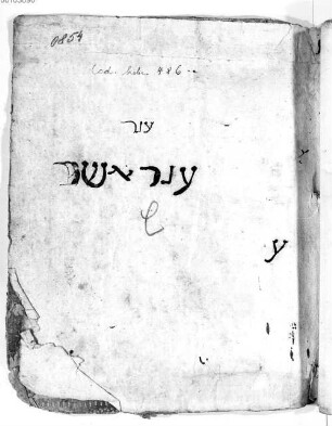 Psalmen - BSB Cod.hebr. 486