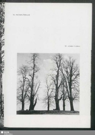 "Sieben Linden"
