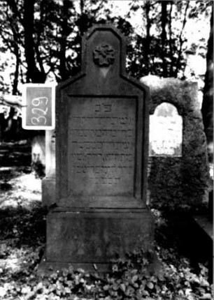 Grabstein 329 (Index: 100111960) Material: Sandstein Zustand: leicht verwittert Maße HxBxT: 153x51x19 cm Beschreibung: Stele, profilierter Sockel, Abschluß: Sonderform, rechteckiges Schriftfeld eingetieft Symbolik: Blüte: Grabstein 329