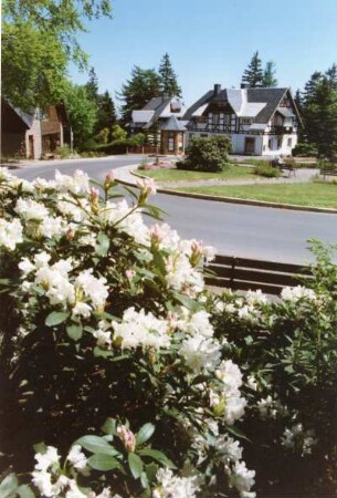 Altenberg-Oberbärenburg. Deutsches Rotes Kreuz, Landesverband Sachsen. Familienerholungseinrichtung. Haus Lebensfreude. 1998