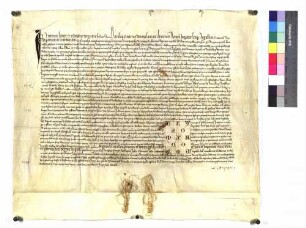 Kaiser Karl IV. bestätigt den Brüdern des Heiligen Grabes in Denkendorf zwei eingerückte Privilegien Heinrichs (VII.) von 1226 Sept. 26 und 1231 Feb. 5 und noch insbesondere das freie Verfügungsrecht über ihre Güter in der Mark von Esslingen.