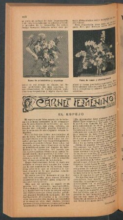 El espejo : Carnet femenino