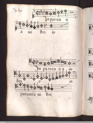 Joannes Loys : In patientia vestra