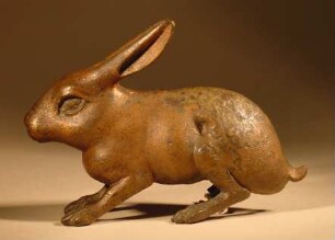Hase