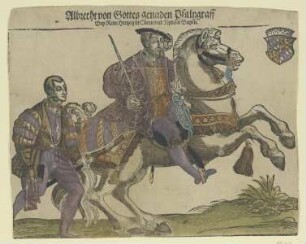 Bildnis des Albrecht V. von Bayern