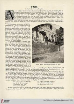 19: Balga
