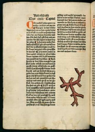 78v-79r, Corallen (130. Kapitel)
