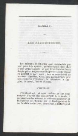 Chapitre VI. Les paghidermes.