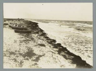 Am Ostseestrand von Wustrow