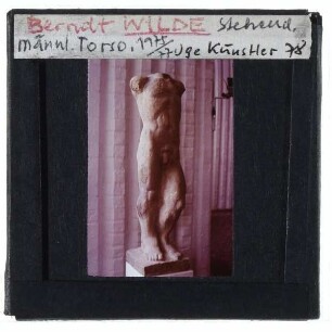 Wilde, Männlicher Torso