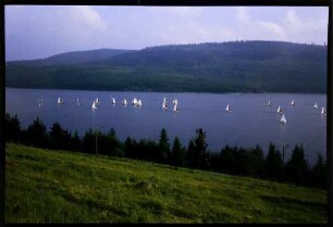 Schluchsee: Segelregatta auf dem Schluchsee, von der B 500 aus