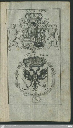 Fig. XXVIII. - XXIX.