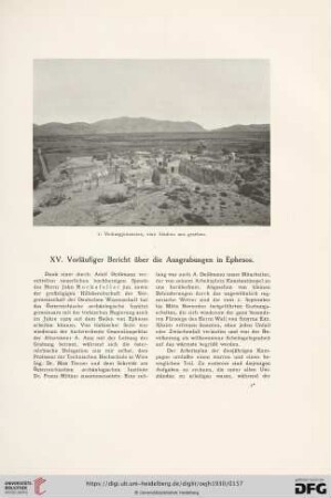 Band 26: XV. vorläufiger Bericht über die Ausgrabungen in Ephesos